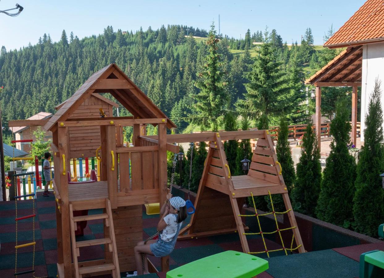 Pensiune Rara Păltiniş Exterior foto