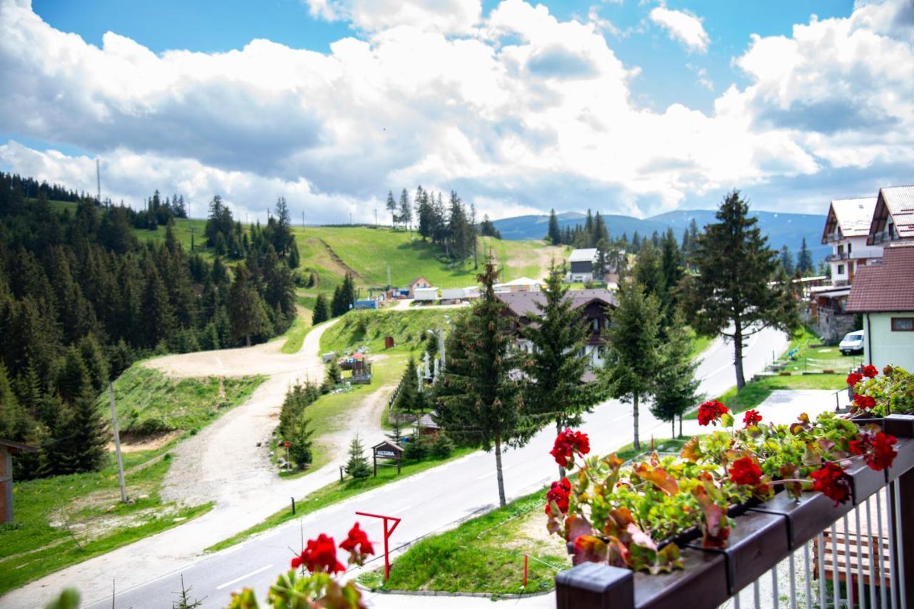Pensiune Rara Păltiniş Exterior foto
